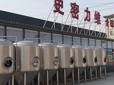 灵武精酿啤酒设备厂—如何判断精酿啤酒设备的密封件需要更换？